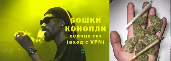 PSILOCYBIN Алексеевка