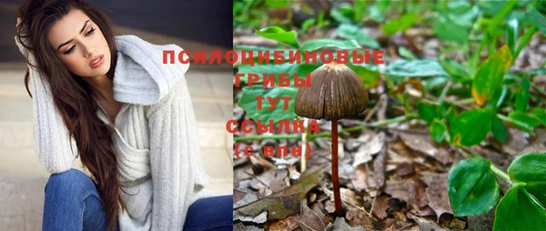 ешки Алзамай