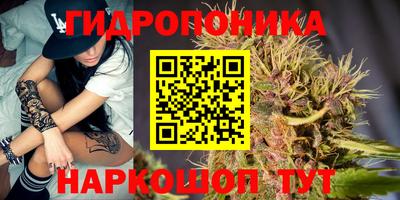 ПСИЛОЦИБИНОВЫЕ ГРИБЫ Пушкино