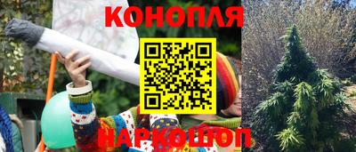 кокс Пугачёв