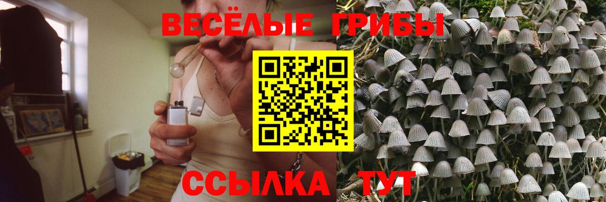 Псилоцибиновые грибы ЛСД Шадринск