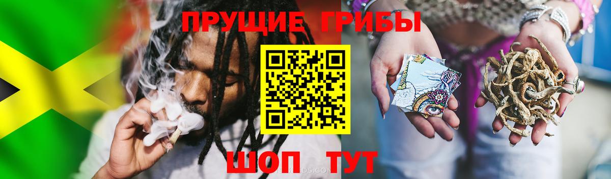 Шадринск  Псилоцибиновые грибы ЛСД  Псилоцибиновые грибы Psilocybine cubensis  Вход с VPN 